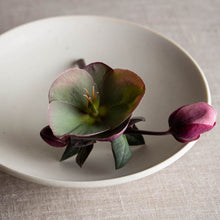 Load image into Gallery viewer, Crystalline White Matte Bowl with Kintsugi-Style Accent