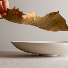 Load image into Gallery viewer, Open Form in Crystalline White Matte Glaze