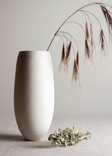Load image into Gallery viewer, Crystalline White Matte Vase Form
