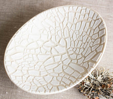 Load image into Gallery viewer, Lichen Altered Rim Bowl