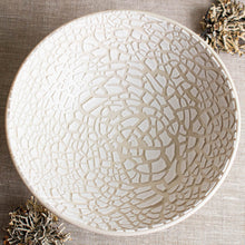 Load image into Gallery viewer, White Lichen Bowl