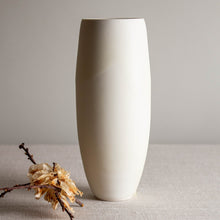 Load image into Gallery viewer, Sparkling Crystalline White Matte Vase Form
